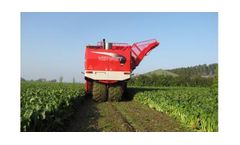 Vervaet Beet Eater - Model 625 - Sugar Beet Harvester