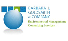 Corporate Environmental Management and Strategy Services