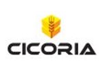 Cicoria 8747 Baling in Chile - Video