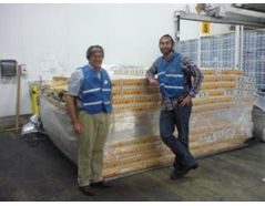 Australian Mango Growers Ready for Major Shipments to US