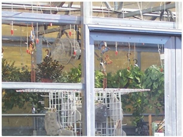 Rimol - Greenhouse Sliding Door with Glass Panel