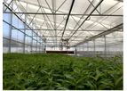 Sawtooth - Commercial Greenhouse