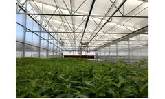 Sawtooth - Commercial Greenhouse