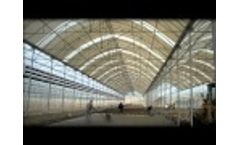 Turnkey Greenhouses. Rufepa Video