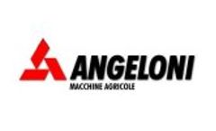 Furrow plow Angeloni out by TRACTORUM.IT Video