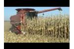 Calmer Corn Heads Test Head in Action - Video
