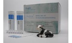 Model Aflatoxin M1 - Rapid Test Kit