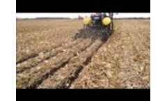 ZRX+PLURIBUS in corn stalks - Video