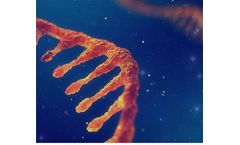CD Genomics’ RNA-Solutions Platform Now Supports Exosomal RNA Research
