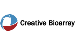 creative biogene - yeast one hybrid