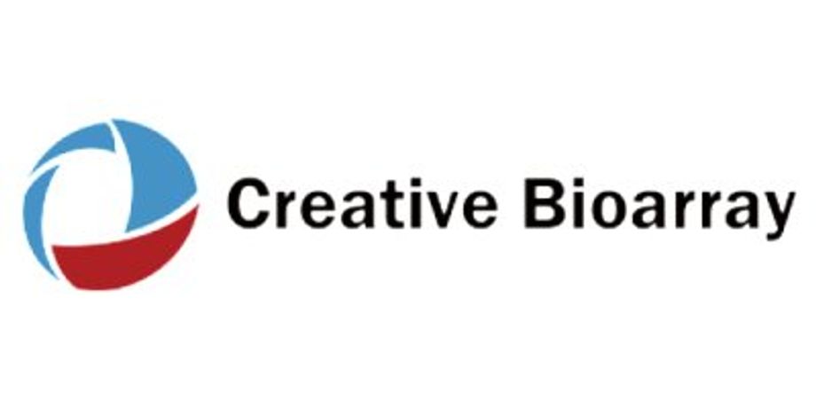 Creative Bioarray - Model Huh7 - Hepatoma Cells