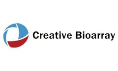 creative bioarray - Kupffer Cells