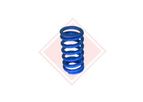 Valve and Coil Springs
