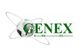 Global Environmental Excellence Ltd - Genex