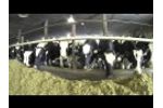 Milk from the Arctic - Dairy Farming in Canada Video