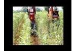 RATH HIGHLANDER V70-Fruit-trees-01-Video