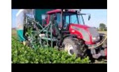 Celery harvester - Sweere - Video