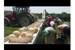 Three Point Harvesting Belt - Sweere - Video