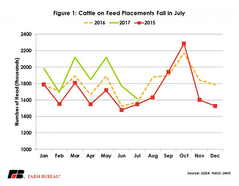 Cattle on Feed Lower Than Pre-Report Estimates