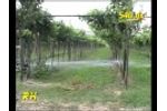 irrigation 540 Gx Video