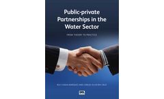 Public-private Partnerships in the Water Sector: From Theory to Practice