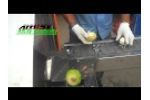 Onion Root Cutting & Peeling Machine Unit