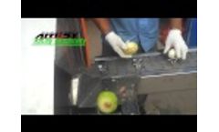 Onion Root Cutting & Peeling Machine Unit
