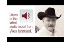 BEEF Magazine`s Cattle Market Weekly for Sept. 7, 2014 Video