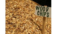 Olivketts - Wood Chips