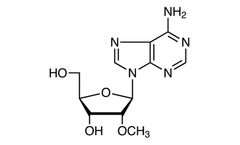 Model H1352 - 2`-O-Methyladenosine