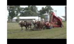 Baling Hay With Horses and Norden Mfg 1534 Hay Accumulator Video