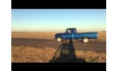 66 Ford Video