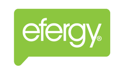Efergy - Model ELC-CT-EN1PH - Online Energy Monitor with Display Brochure
