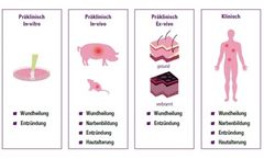 Joanneum Research - Clinical In-Vivo Models