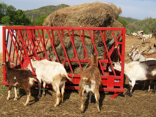 PMC - Model 400 - Bale Feeders for Goats and Sheep