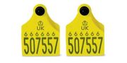 Senior Ultra Primary and Secondary Cattle Tags
