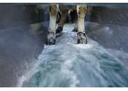 Hydro-Flush Sheep Footbath