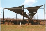 Cattle Shade