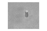 Stanford - Model SMCN0264 - Neodymium Cylinder Magnet