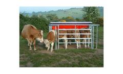Model ODEL - Ad-Lib Beef Cattle Feeder