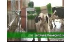 Schurr Cow Brush Video