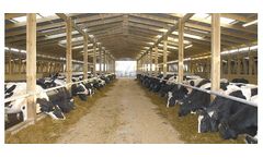 Farmplus - Cow Kennels Buildings
