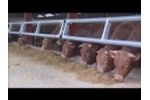 Teemore Engineering - 2 Bar Feed Rails Video