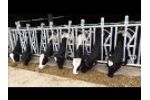 Teemore Engineering - Heifer Headlock Video