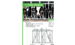 Heifer - Safety IV Headlocks Brochure