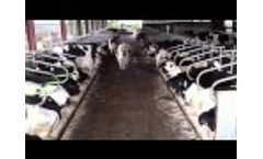CallersFarm Time Lapse - Dairy Cow Housing - UK Video