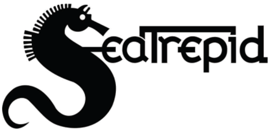 SeaTrepid - Services