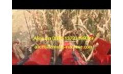 Corn Combine Harvester 4YZ 3A with Corn Husking working Video