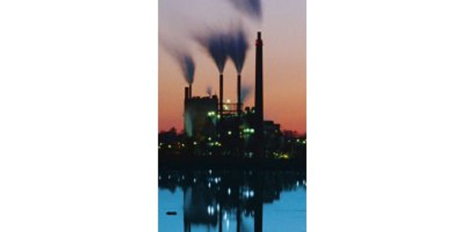 Plant Thermal Performance Services