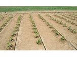 Agricultural Drip Irrigation System for Farm
